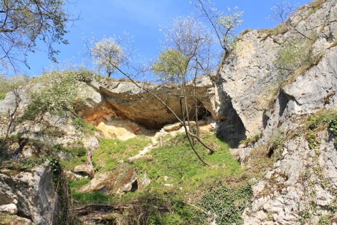 Der Schutzfelsen