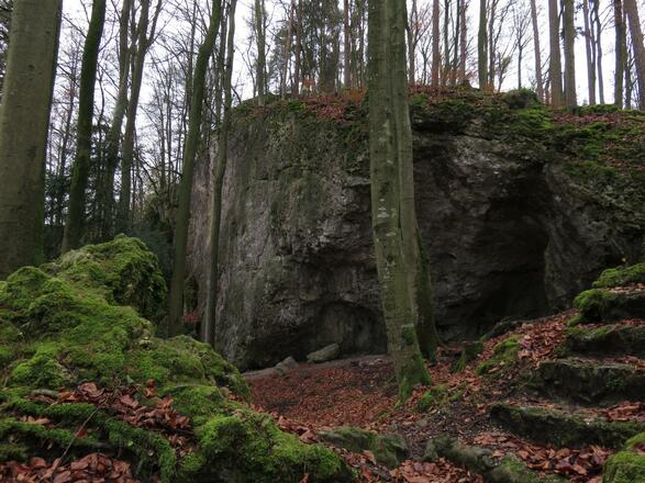 Keltenwall bei Burggaillenreuth