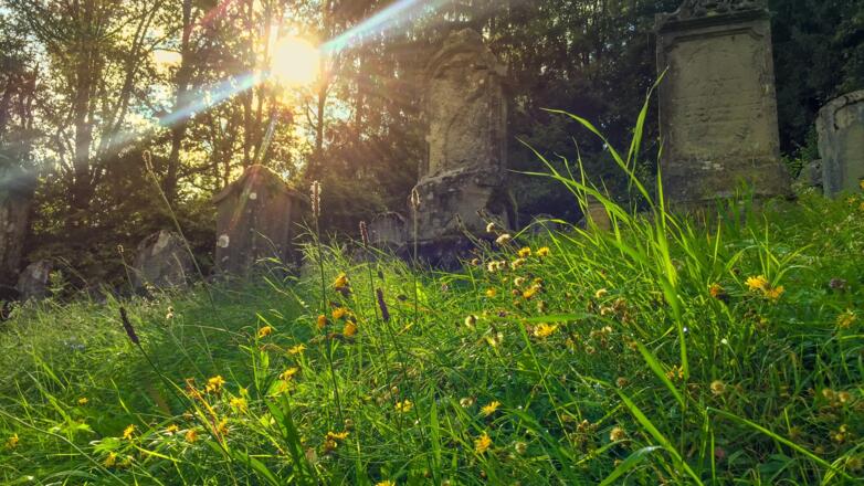 Jüdischer Friedhof Ermreuth
