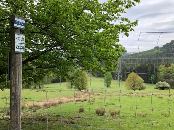 Am Damwildgehege in Häusles