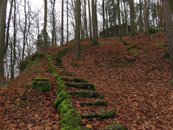 Keltenwall bei Burggaillenreuth