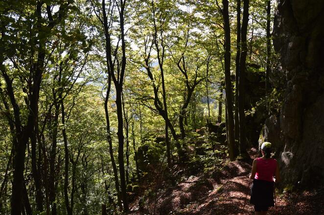 auf dem Höhenweg (Frankenweg) zum Aussichtspunkt Brocksanlage