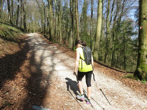 FXT Walking "probiers mal rückwärts"