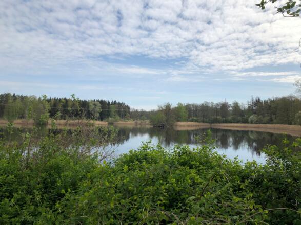 Der Breitensee in Mitwitz