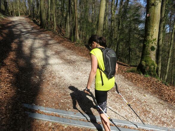 FXT Walking "probiers mal rückwärts"