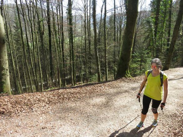 FXT Walking "probiers mal rückwärts"
