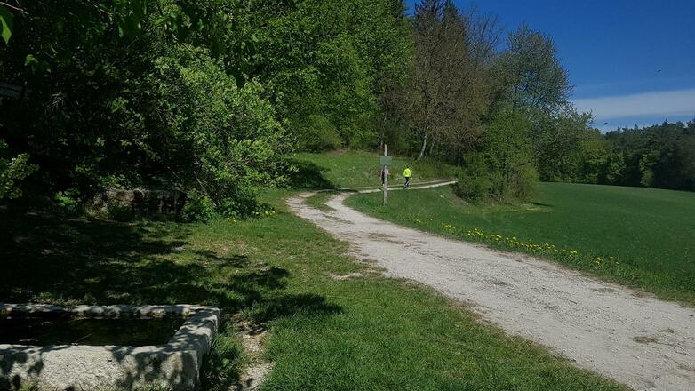 Trainmeusel Quellbrunnen