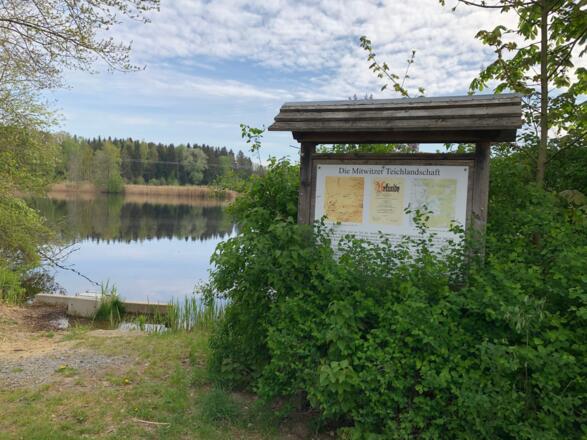 Infotafel Mitwitzer Teichlandschaft am Breitensee
