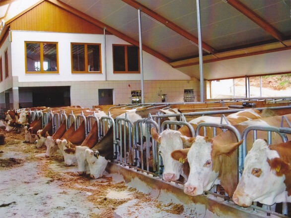 Mambercher Kuhstallcafe