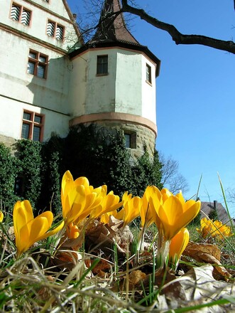 Museum Schloss Ratibor