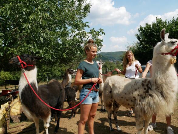 Lama-Trekking Reckenberg