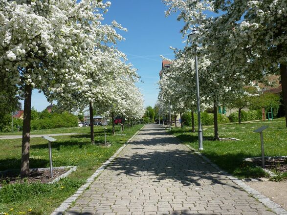 Jean-Paul-Leseweg mit Rasenlabyrinth