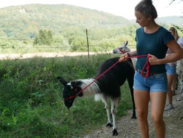 Lama-Trekking Reckenberg