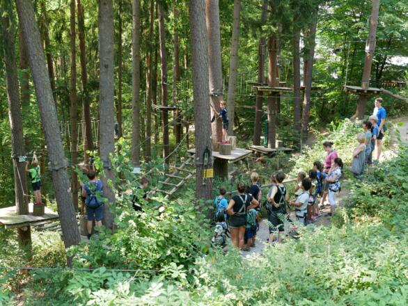 Klettern im Waldseilpark Rummelsberg