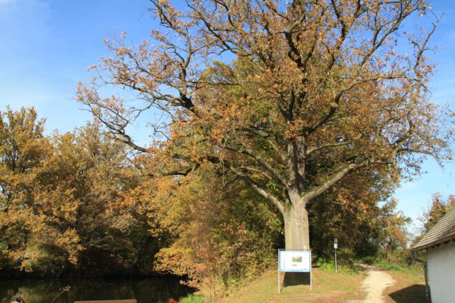 Infotafel Karlsgraben