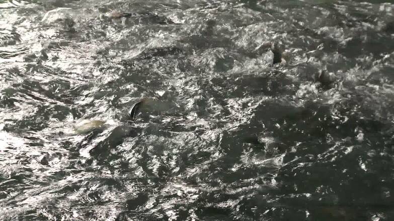 Aussichtspunkt Im Paradies