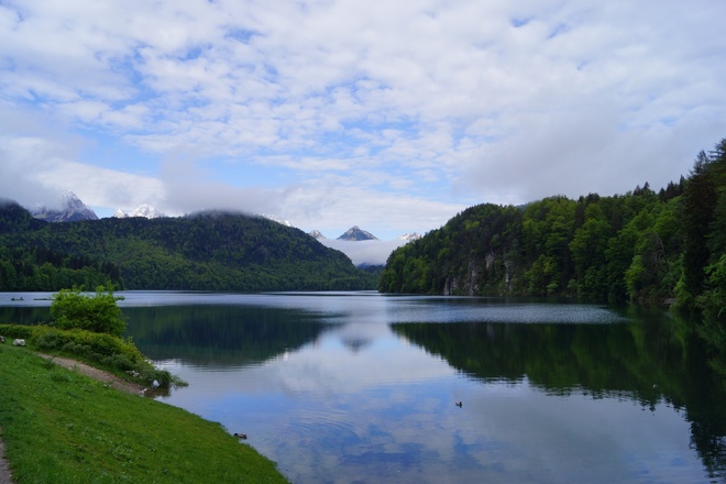 Blick über den Alpsee Richtung Tirol
