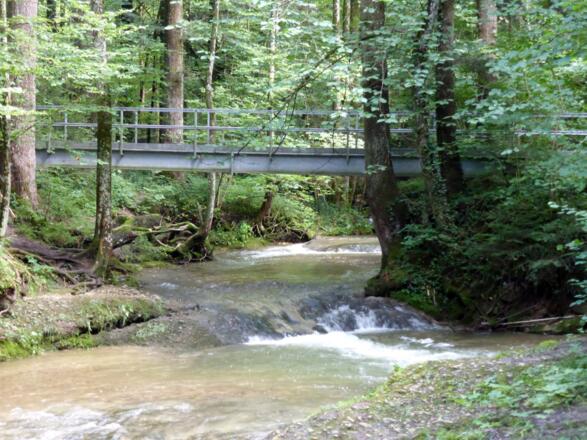Die Rohrachschlucht bei Scheidegg