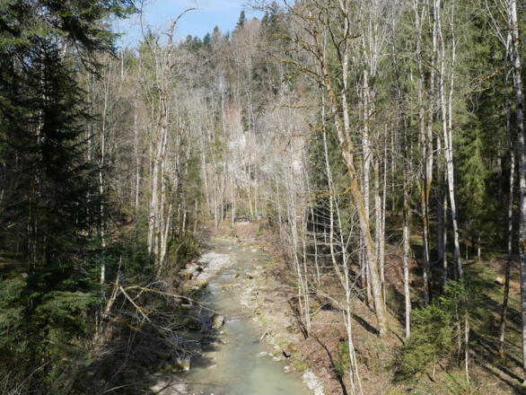 Der Kesselbach