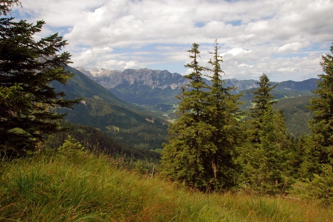 Auf dem Schapbachriedel