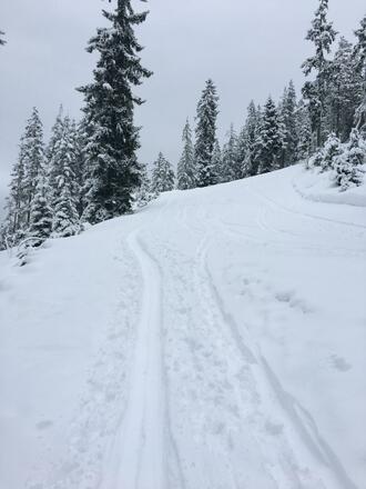 Skitour Hochschwarzeck - Toter Mann