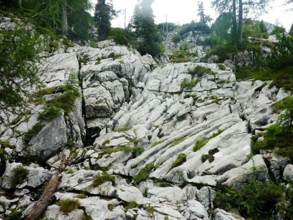 über Stock und Stein