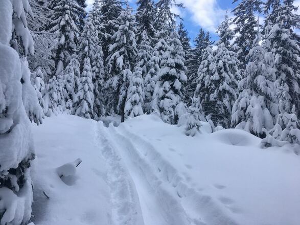 Skitour Bayrische Ramsau