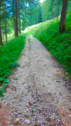 Wanderweg auf die Mordaualm