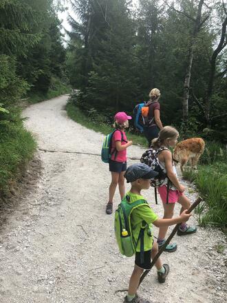 Wanderweg