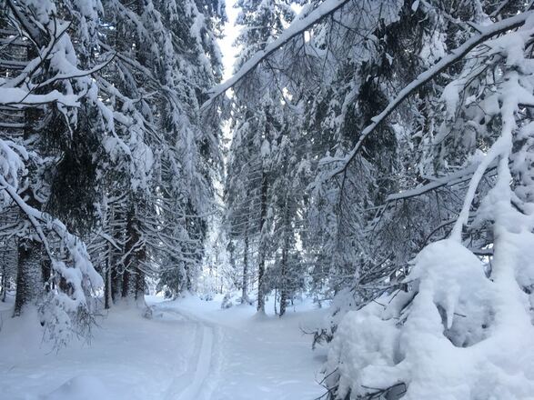 Skitour Bayrische Ramsau