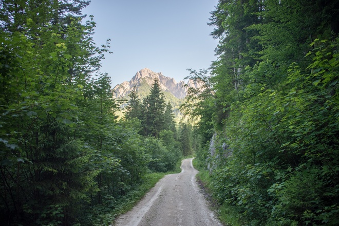 Wanderung zur Kammerlingalm