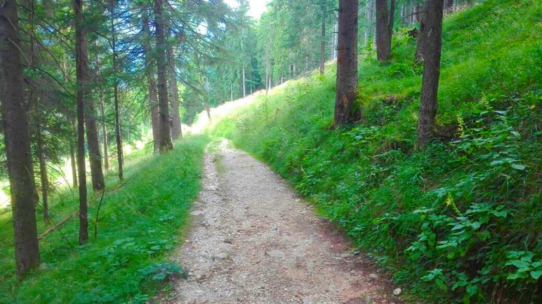 Wanderweg auf die Mordaualm