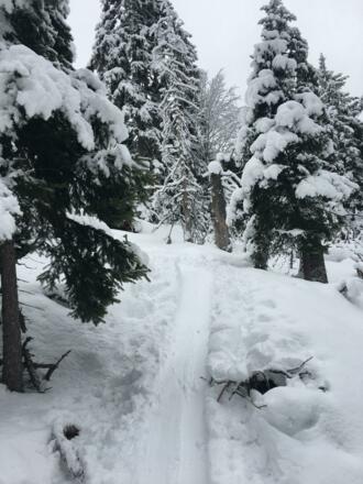 Skitour Hochschwarzeck - Toter Mann