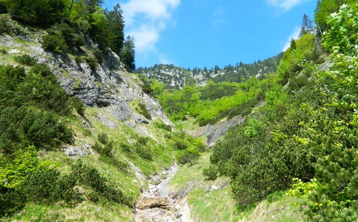 Graben unterhalb der Törlschneid