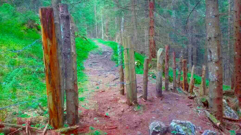 Wanderweg auf die Mordaualm