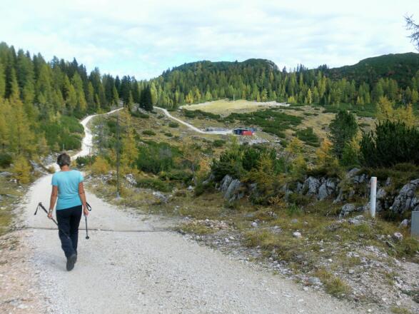 Alphorn hinter Hirschwies (milit. Sprengplatz)