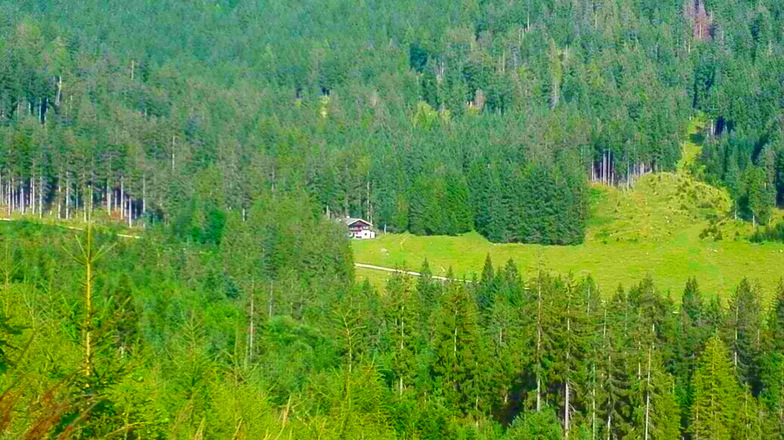 Wanderweg auf die Mordaualm