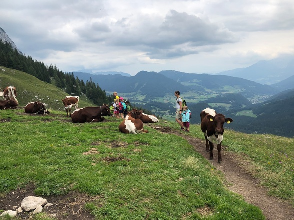 Wanderweg zurück ins Tal
