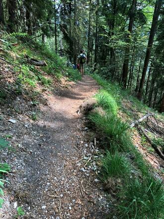 Wanderweg ins Tal