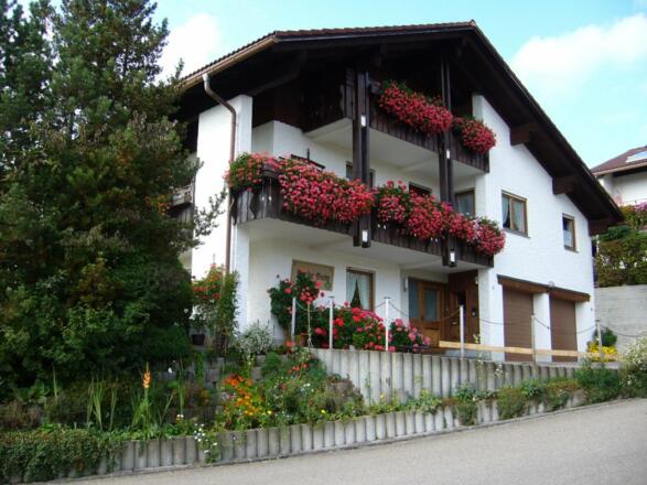 p1010739haus-ansicht2010