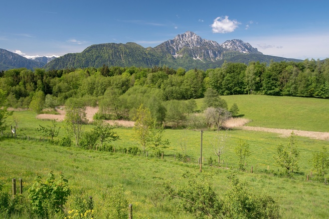 Blick vom Johannishögl über den Pidinger Bieneweg zum Hochstaufen-Massiv