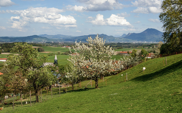 Blick über Vachenlueg nach Salzburg