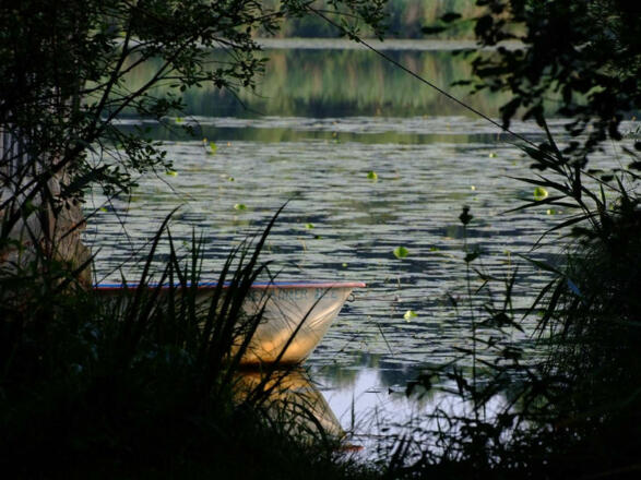 Moorlehrpfad Freimoos