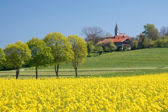 Steinhögl