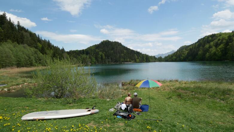 Am Ufer des Alatsees