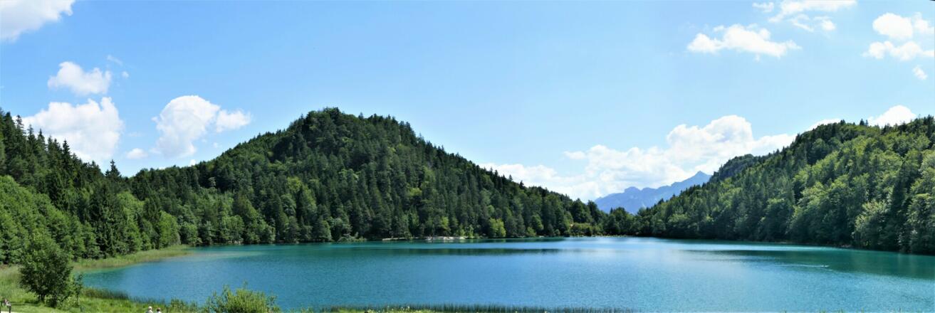 Alatsee