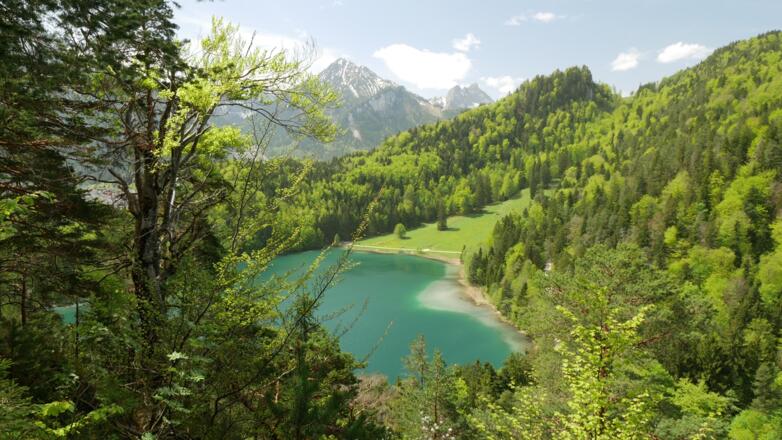 Blick auf den Alatsee