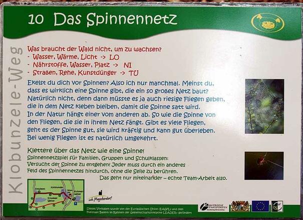 Das Spinnennetz