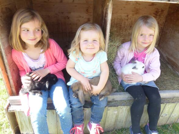 Unsere Hasen Hoppel, Löffel und Luna