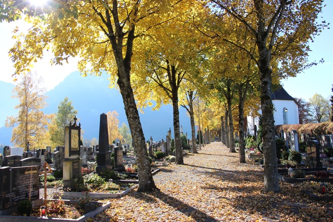 Friedhof
